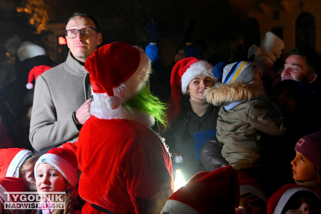 Rozświetlanie miejskiej choinki w Tarnobrzegu