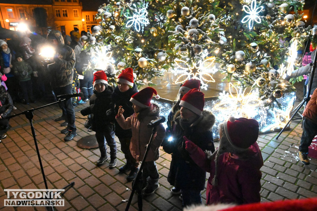 Rozświetlanie miejskiej choinki w Tarnobrzegu