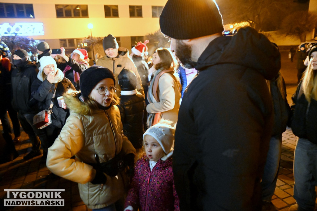 Rozświetlanie miejskiej choinki w Tarnobrzegu