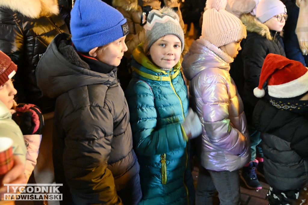 Rozświetlanie miejskiej choinki w Tarnobrzegu