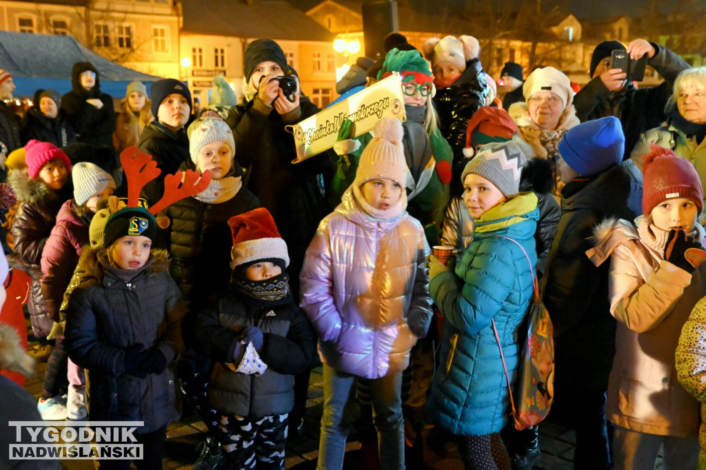 Rozświetlanie miejskiej choinki w Tarnobrzegu