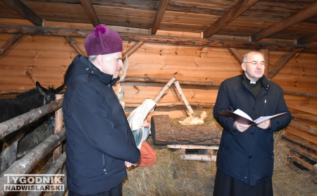 Otwarcie żywej szopki w Sandomierzu