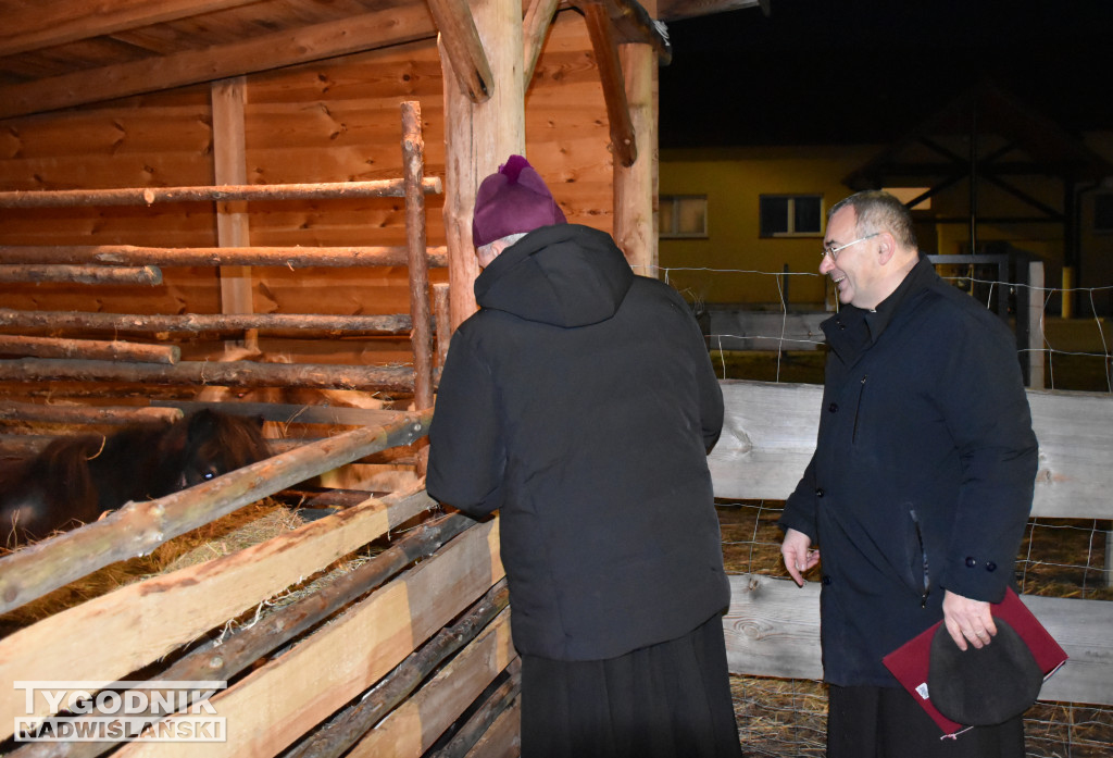 Otwarcie żywej szopki w Sandomierzu