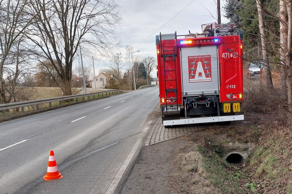 Pies uwięziony w studni