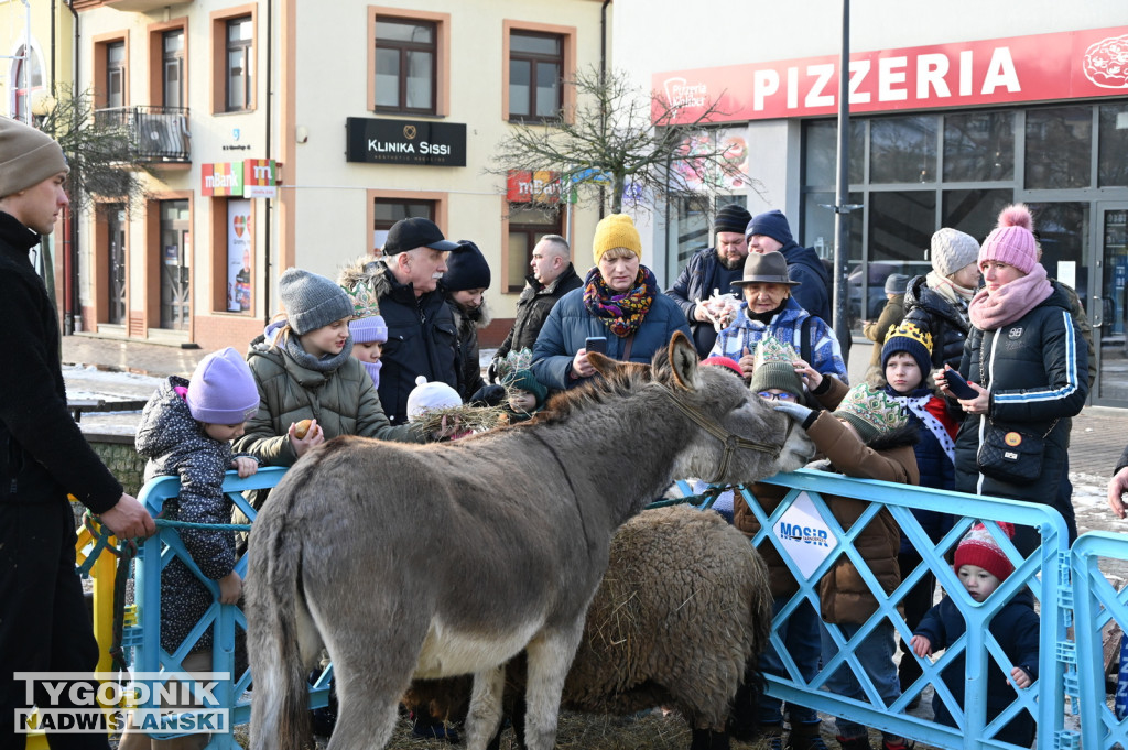 Orszak Trzech Króli w Tarnobrzegu 2025