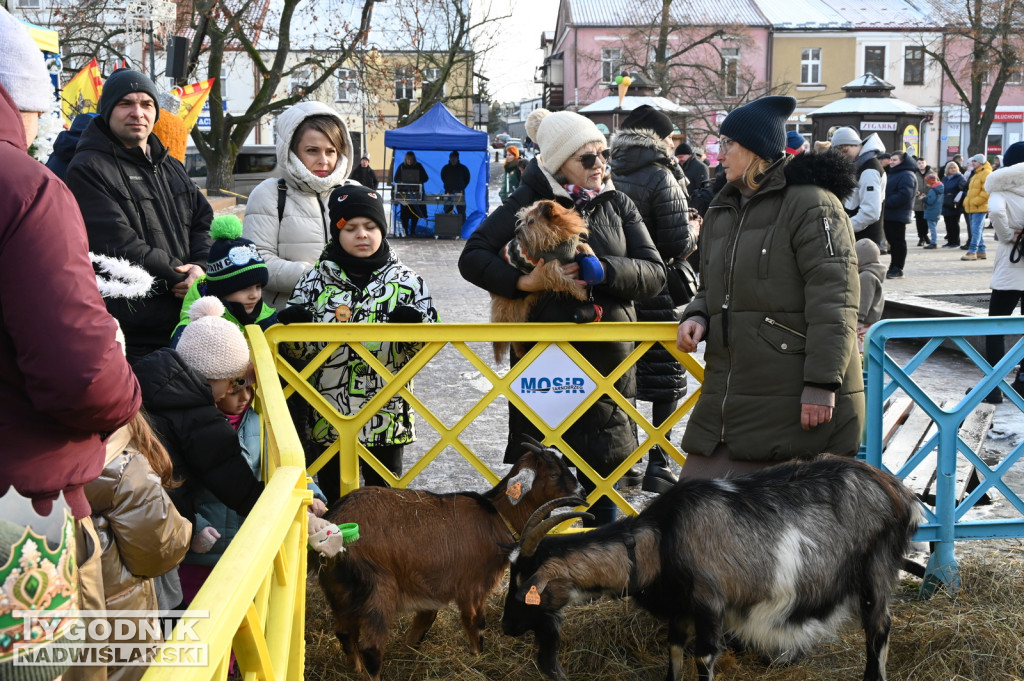 Orszak Trzech Króli w Tarnobrzegu 2025