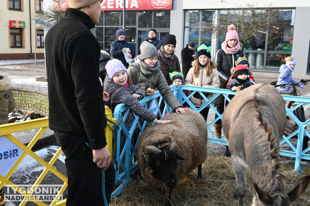 Orszak Trzech Króli w Tarnobrzegu 2025