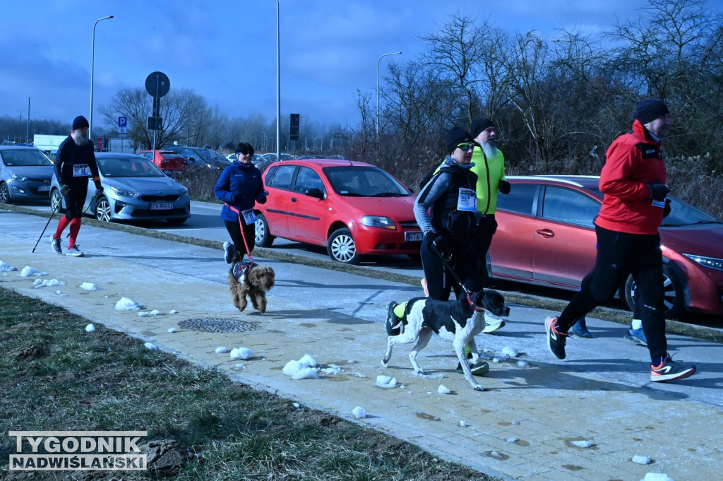 13 Rekreacyjny Zimowy Bieg Wokół Jeziora