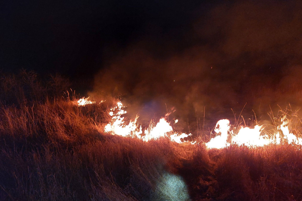 Pożary traw w powiecie sandomierskim