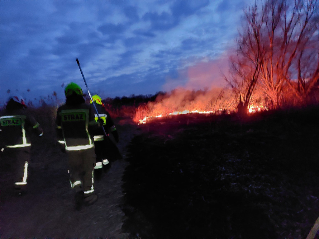 Pożary traw w powiecie sandomierskim