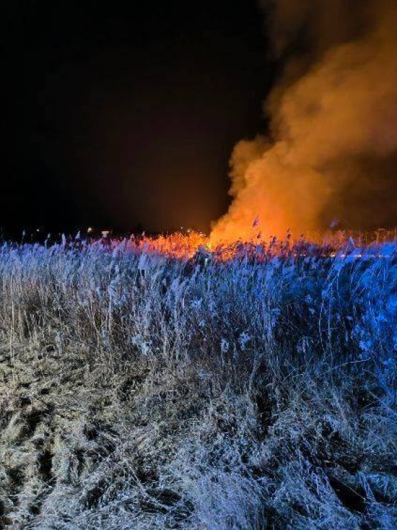 Pożary traw w powiecie sandomierskim