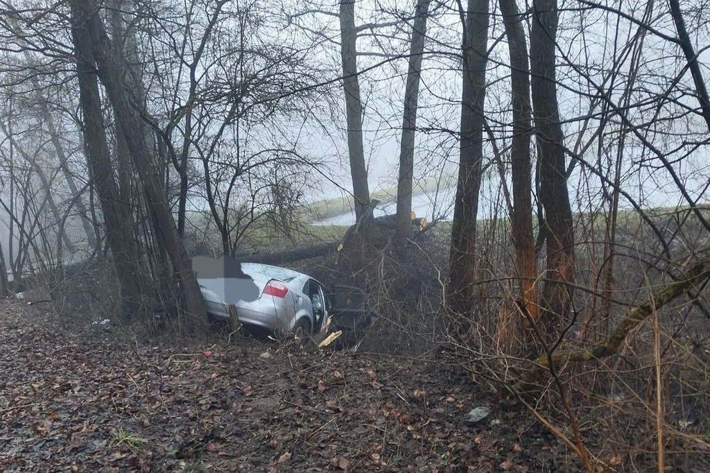 Audi wpadło do rowu i uderzyło w drzewo