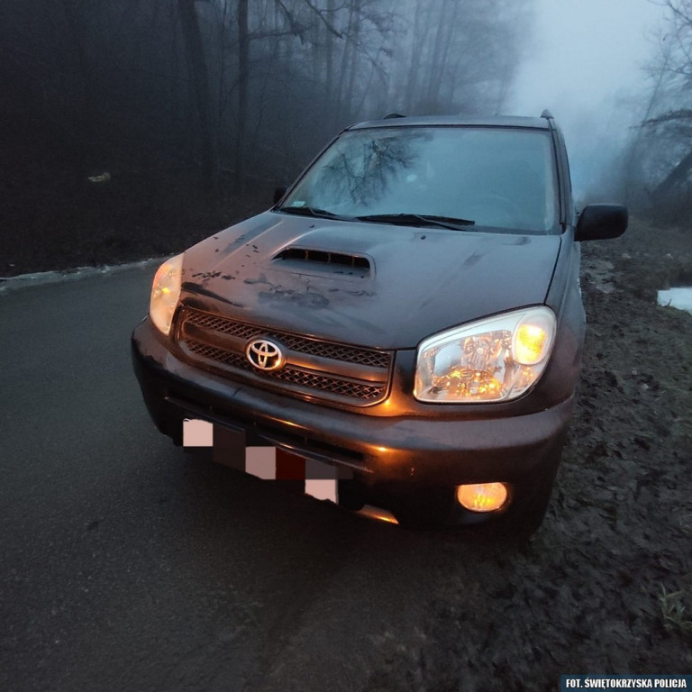 Audi wpadło do rowu i uderzyło w drzewo