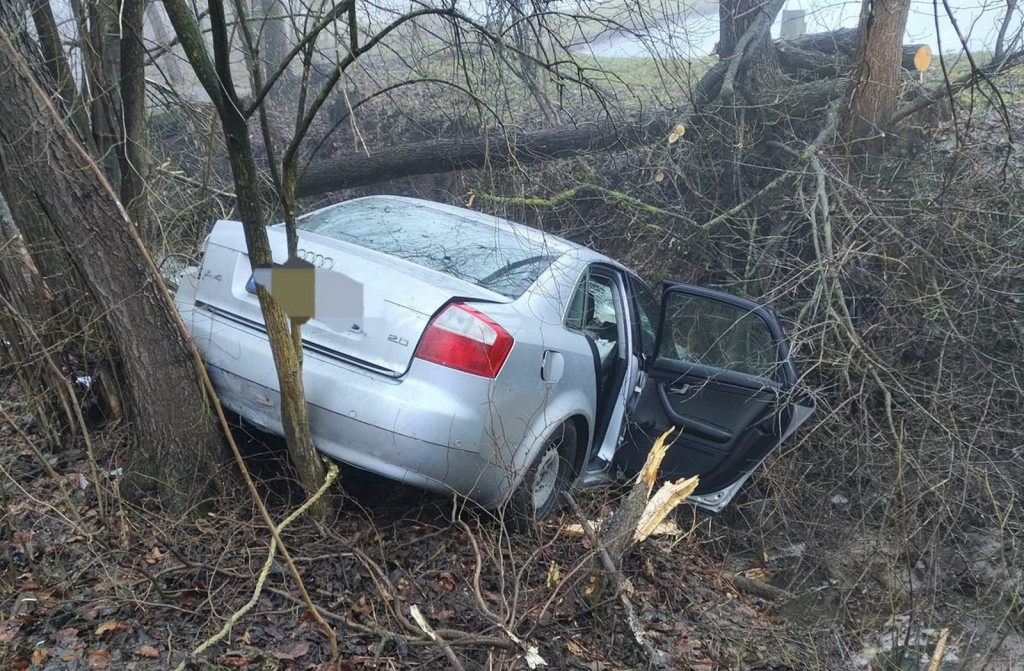 Audi wpadło do rowu i uderzyło w drzewo