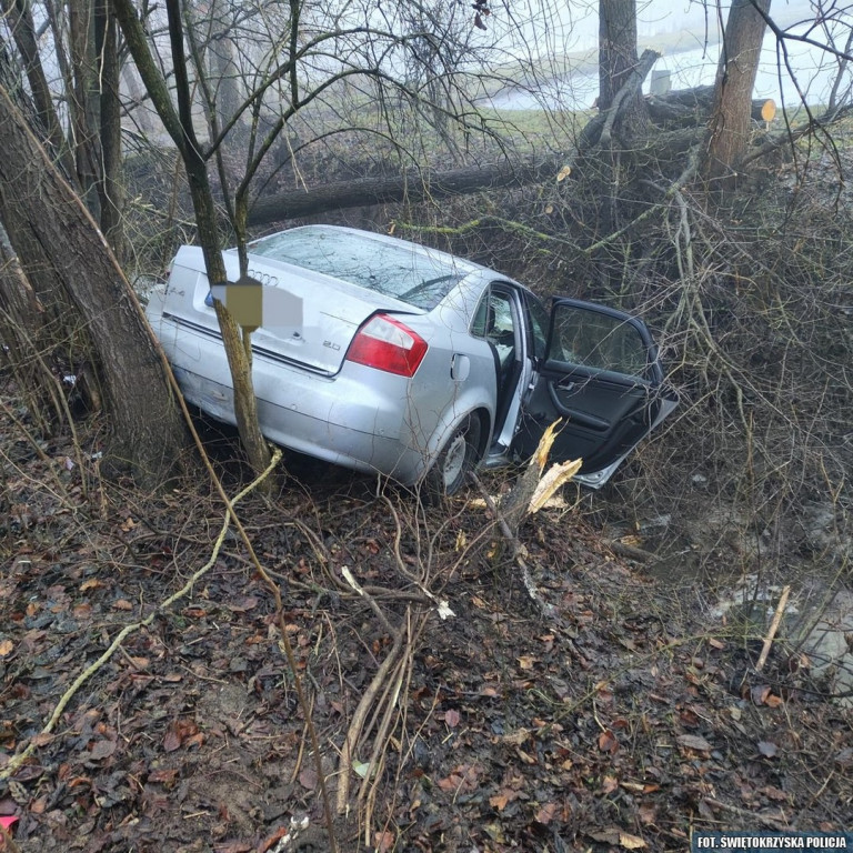 Audi wpadło do rowu i uderzyło w drzewo