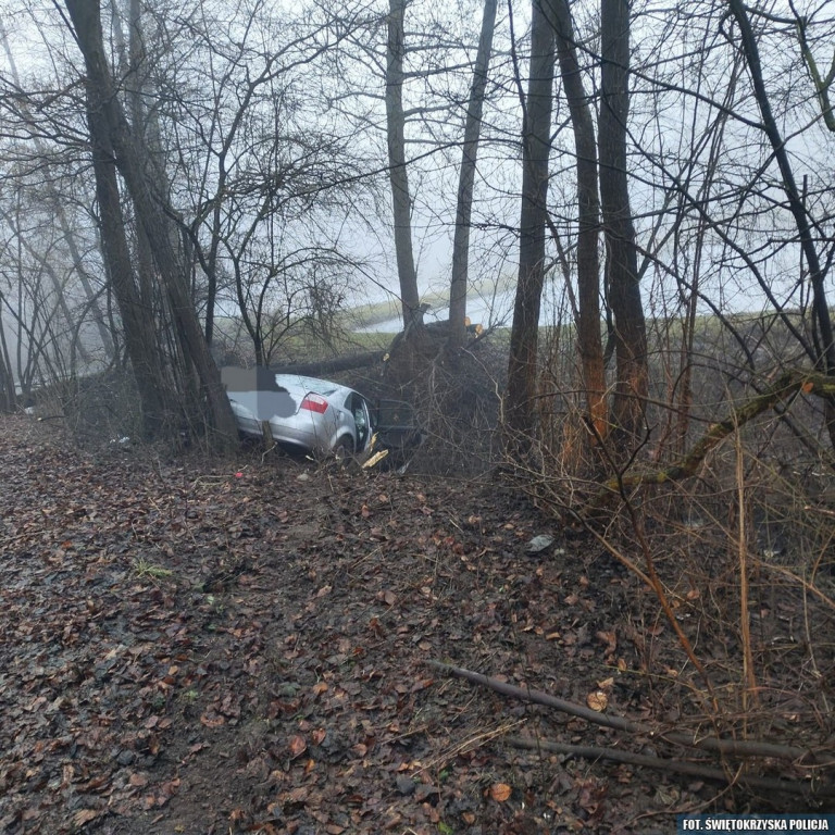 Audi wpadło do rowu i uderzyło w drzewo