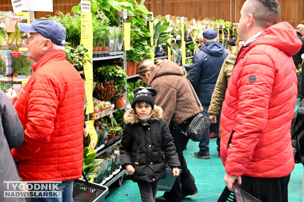 Festiwal Roślin w Tarnobrzegu