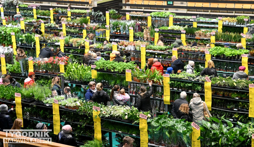 Festiwal Roślin w Tarnobrzegu