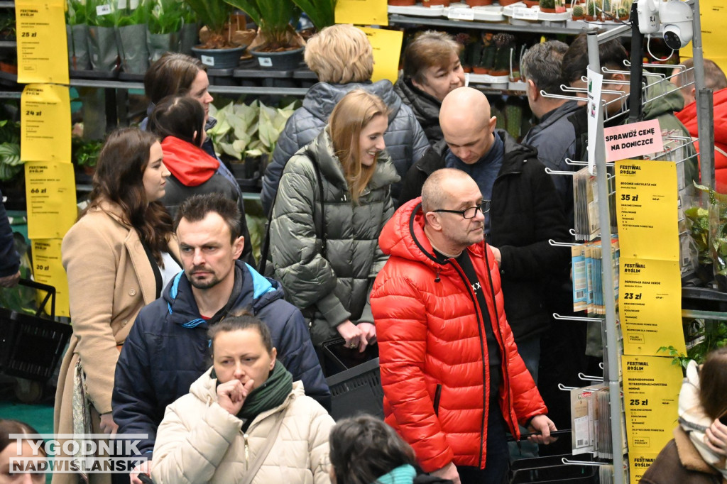 Festiwal Roślin w Tarnobrzegu