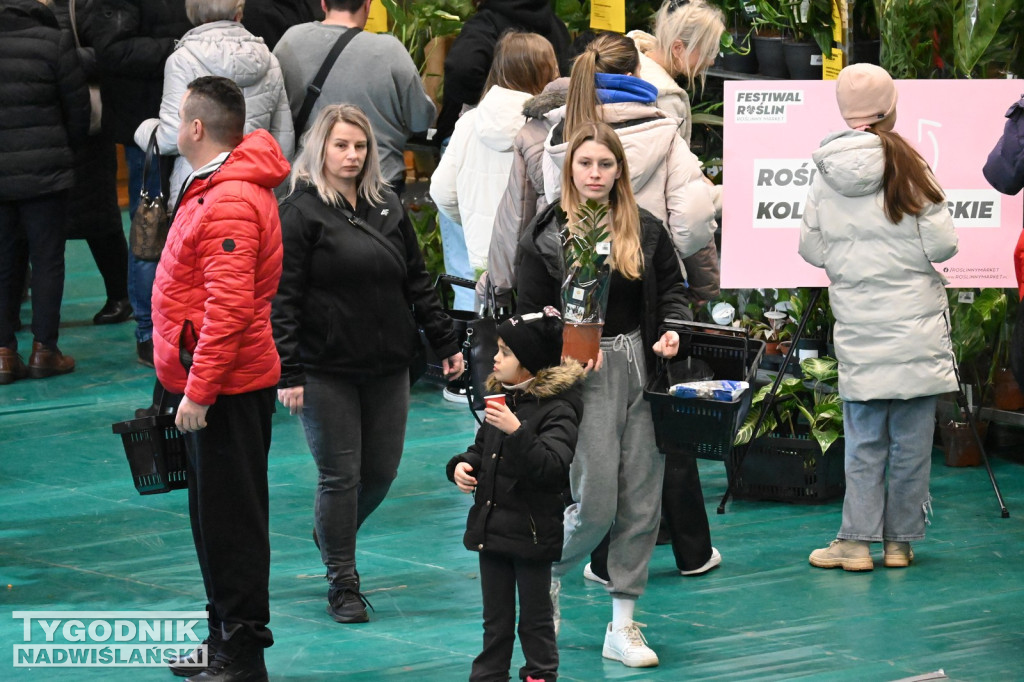 Festiwal Roślin w Tarnobrzegu