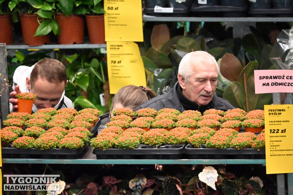 Festiwal Roślin w Tarnobrzegu