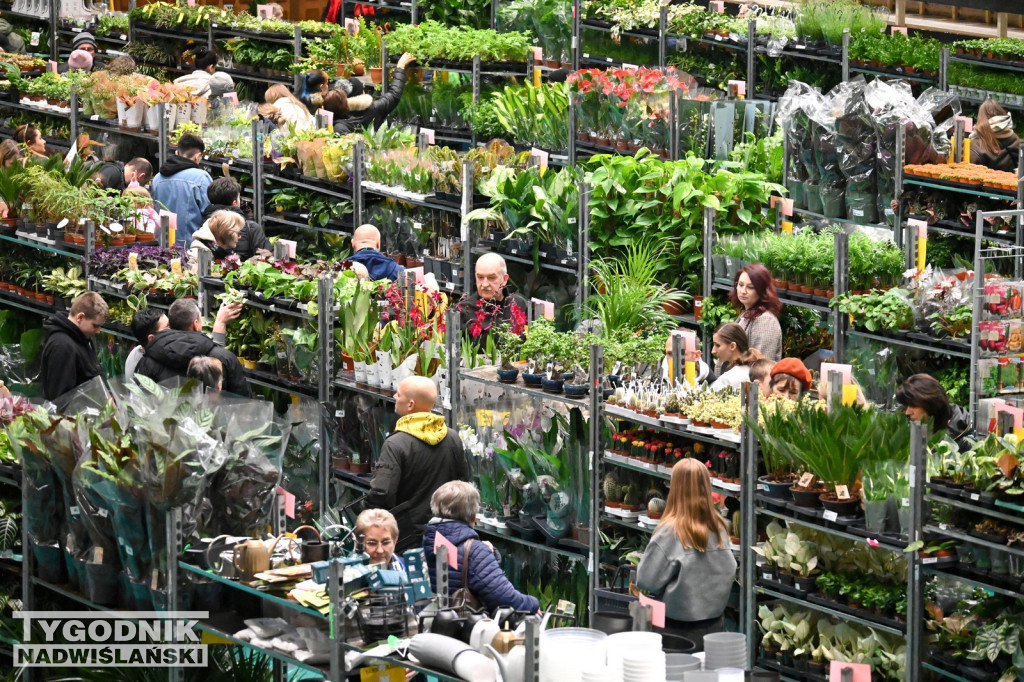 Festiwal Roślin w Tarnobrzegu