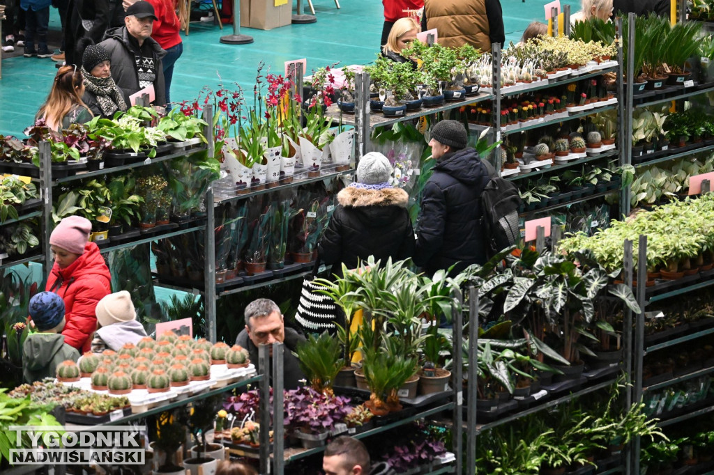 Festiwal Roślin w Tarnobrzegu