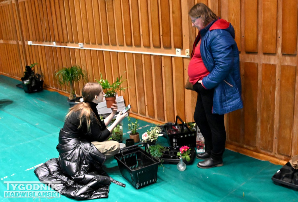 Festiwal Roślin w Tarnobrzegu