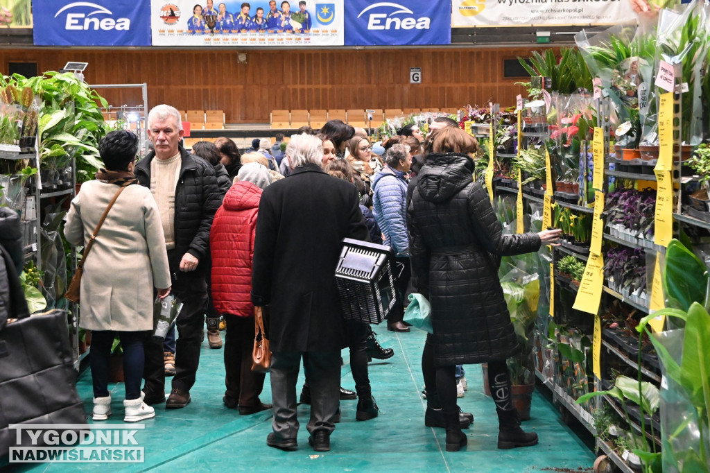 Festiwal Roślin w Tarnobrzegu