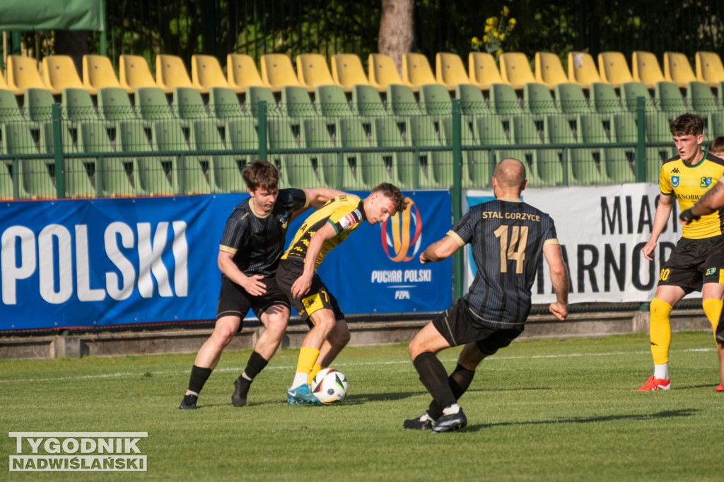 Siarka Tarnobrzeg - Stal Gorzyce