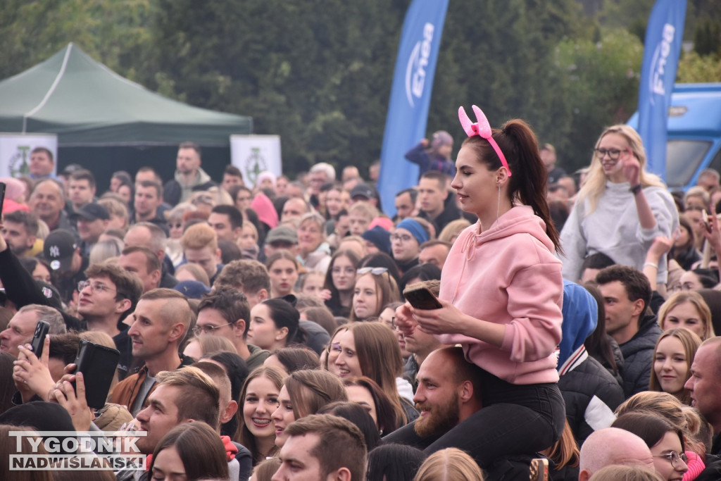 Łobuzy na Dniach Połańca
