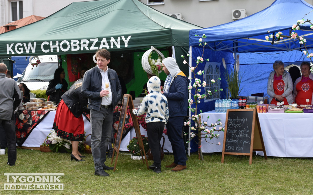 Kordian na Święcie Kwitnącej Jabłoni w Samborcu
