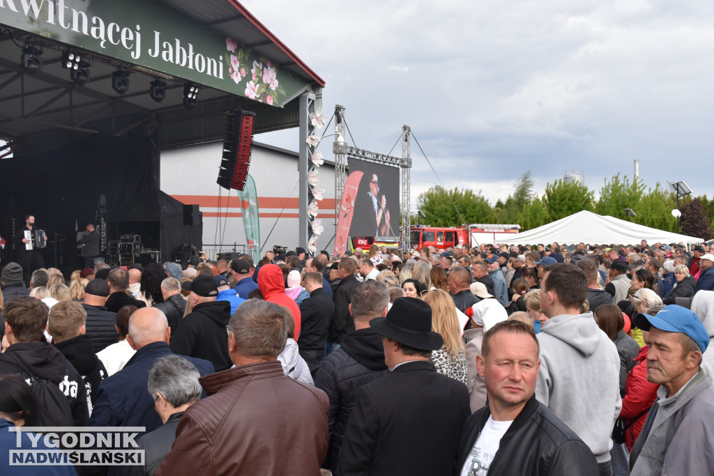 Kordian na Święcie Kwitnącej Jabłoni w Samborcu