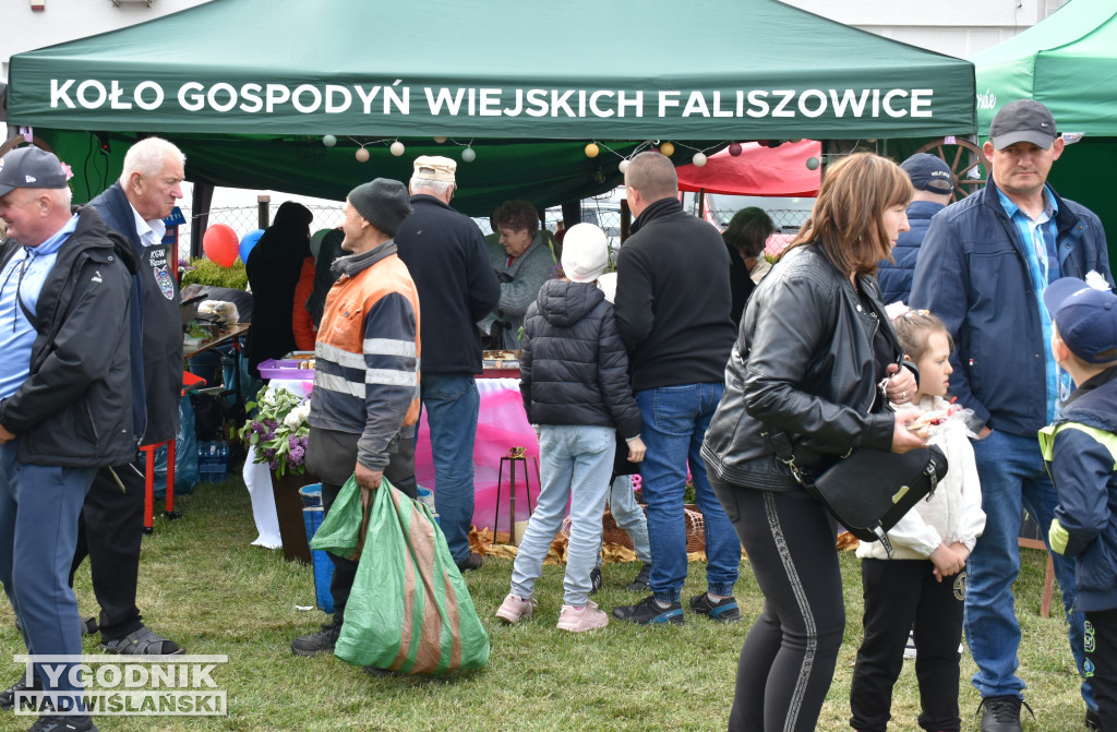 Kordian na Święcie Kwitnącej Jabłoni w Samborcu