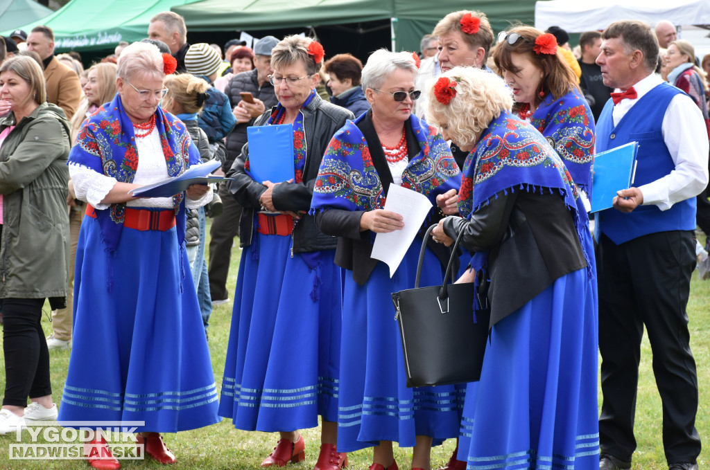 Kordian na Święcie Kwitnącej Jabłoni w Samborcu