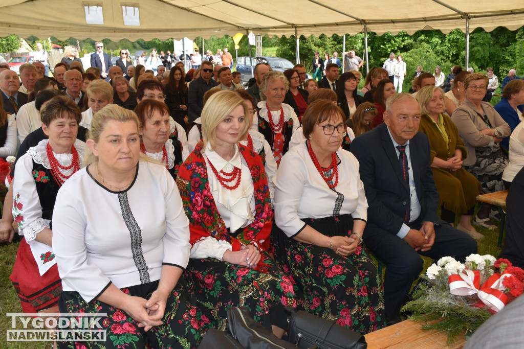 110. rocznica bitwy pod Koanarami