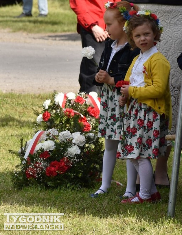 110. rocznica bitwy pod Koanarami