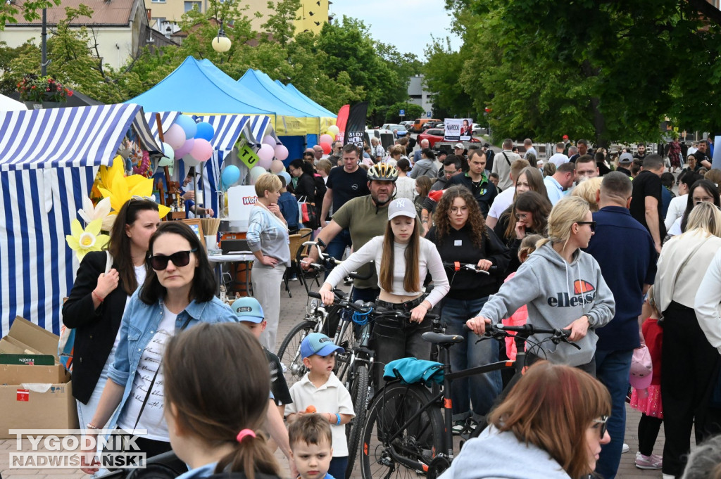 Piknik rodzinny w Tarnobrzegu