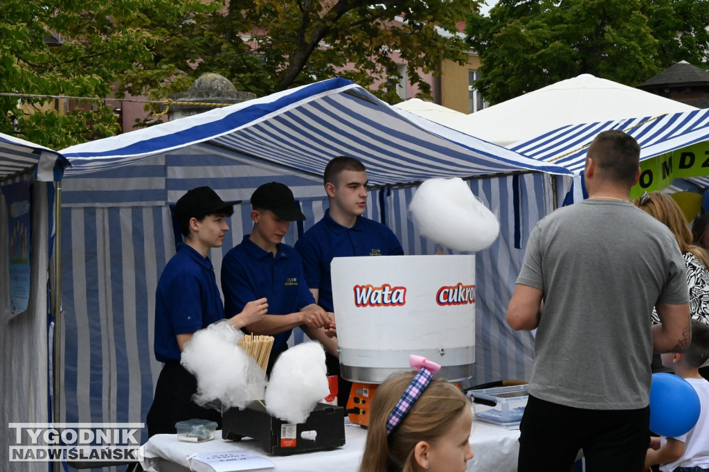 Piknik rodzinny w Tarnobrzegu