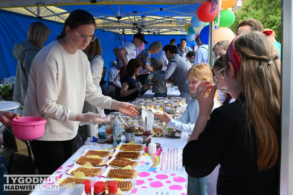 Piknik rodzinny w Tarnobrzegu