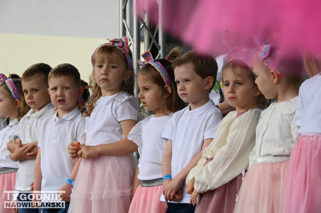 Piknik rodzinny w Tarnobrzegu