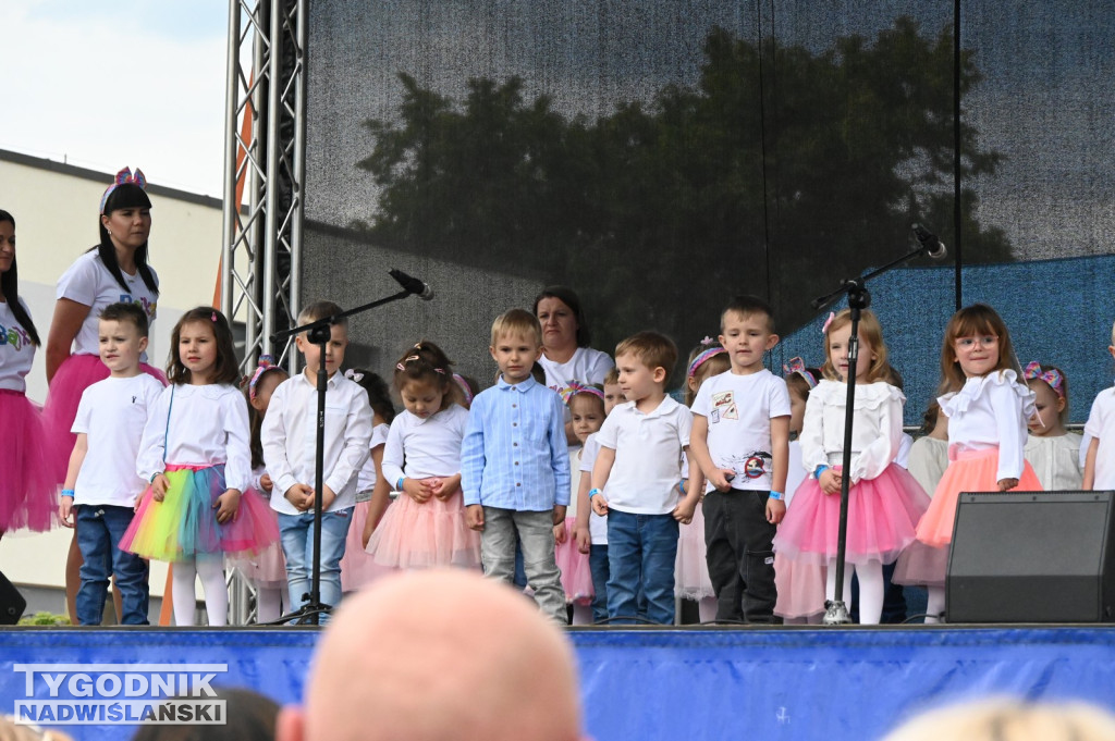 Piknik rodzinny w Tarnobrzegu