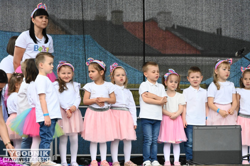 Piknik rodzinny w Tarnobrzegu