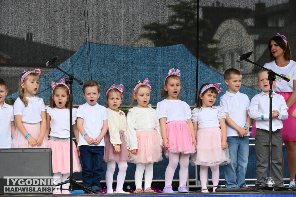 Piknik rodzinny w Tarnobrzegu