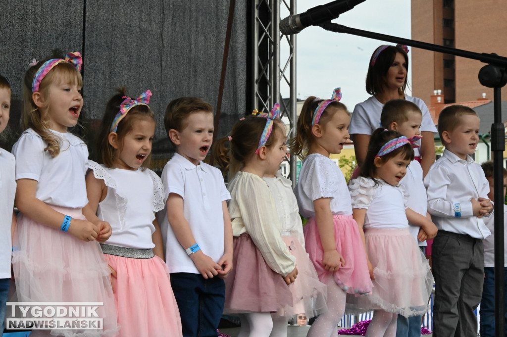 Piknik rodzinny w Tarnobrzegu