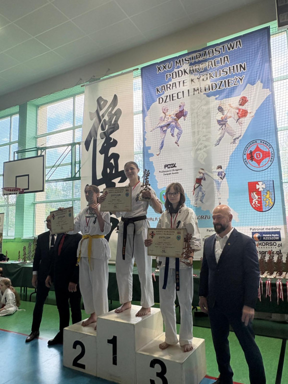 Mistrzostwa Podkarpacia Karate