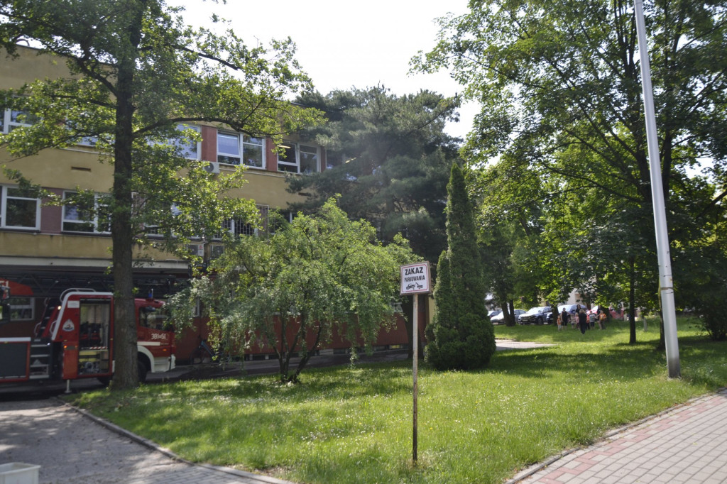 Usuwanie skutków burzy w Tarnobrzegu