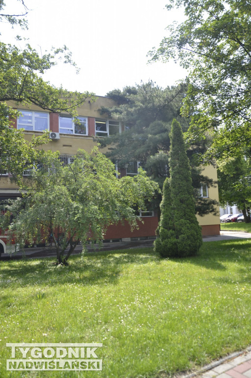 Usuwanie skutków burzy w Tarnobrzegu