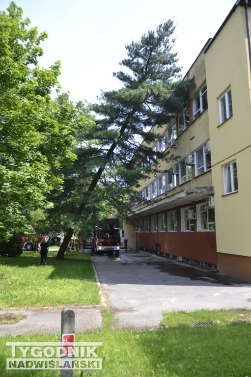 Usuwanie skutków burzy w Tarnobrzegu