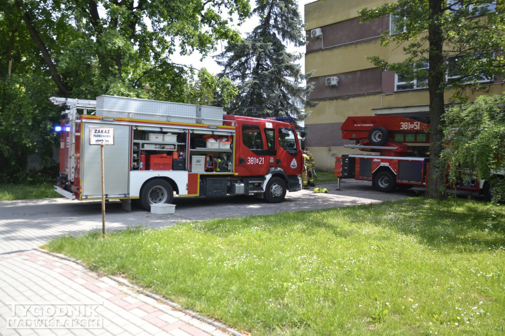 Usuwanie skutków burzy w Tarnobrzegu